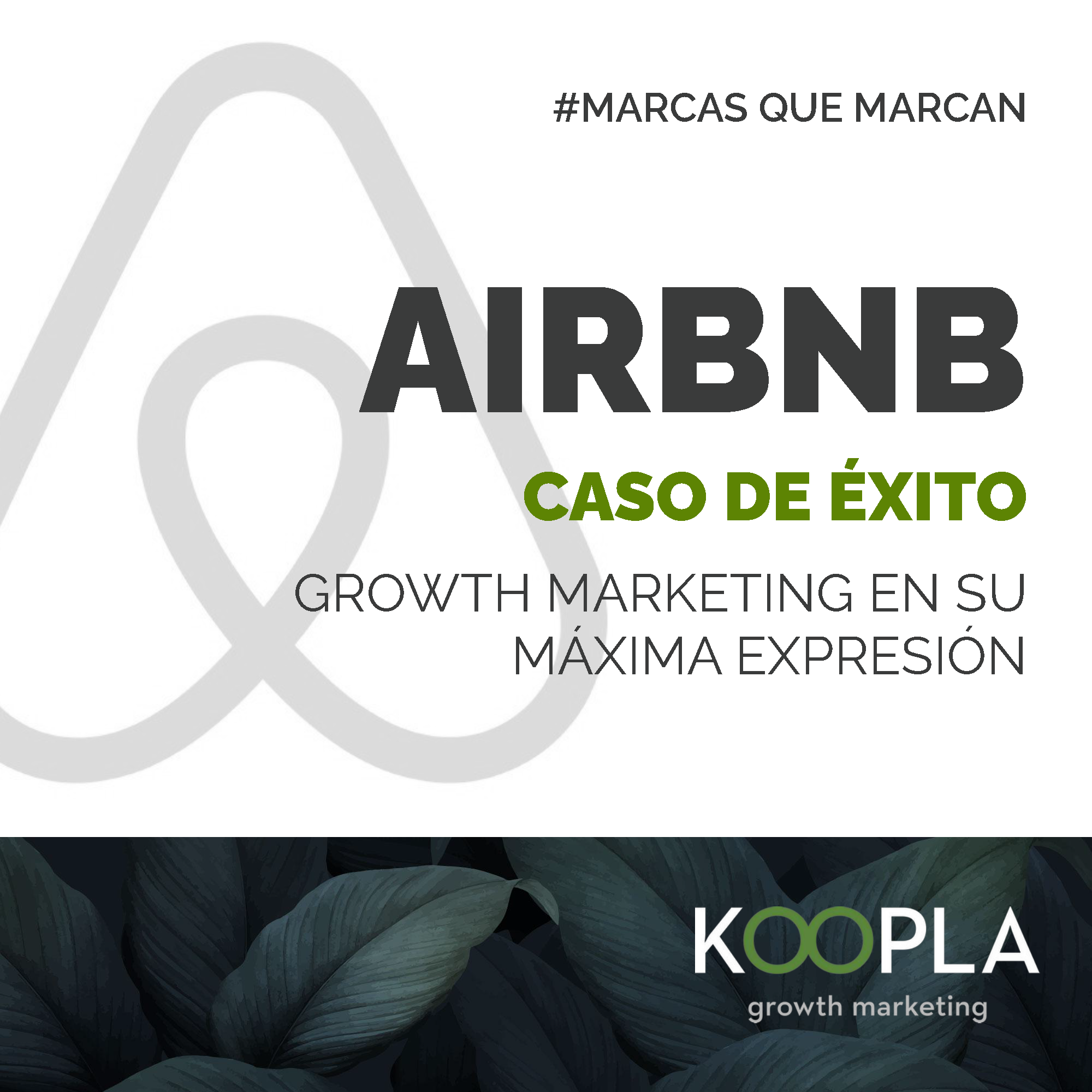 ¿Cómo creció Airbnb?