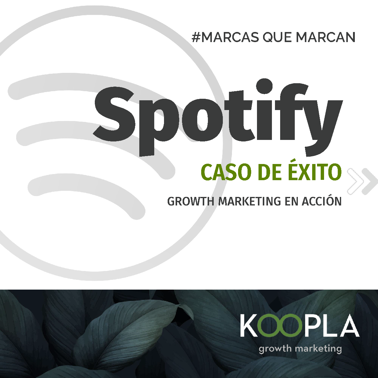 Spotify growth marketing en acción