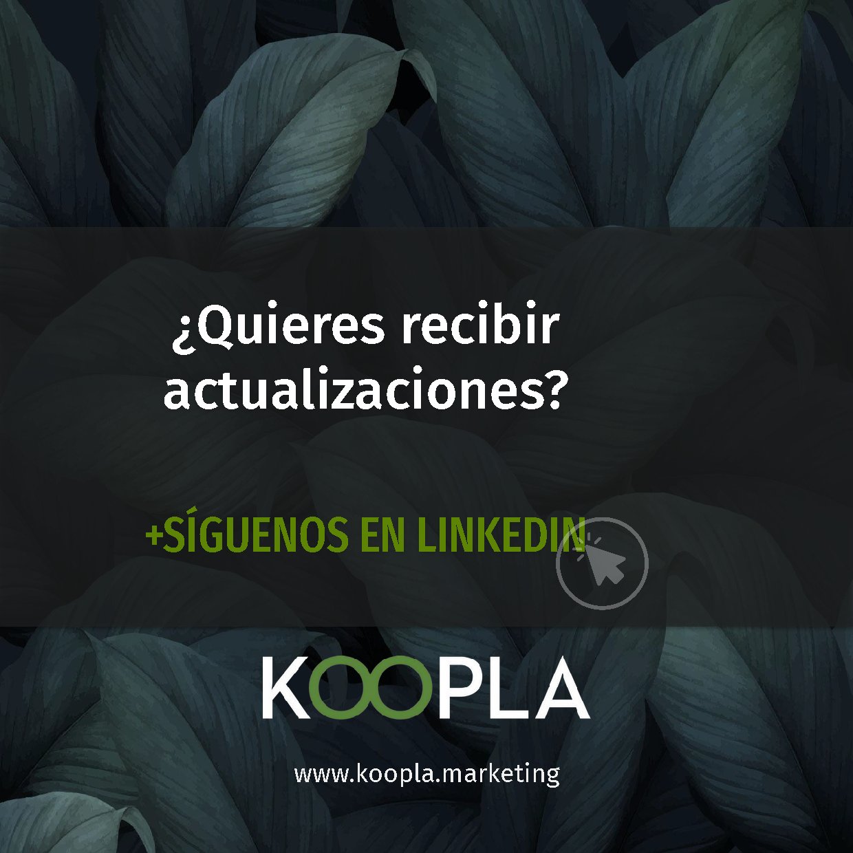 ¿Quieres recibir actualizaciones? Síguenos en linkedin